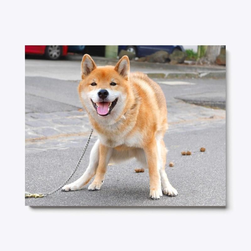 Tofu Poops Canvas Print